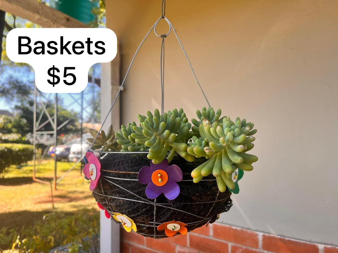 Hanging Baskets